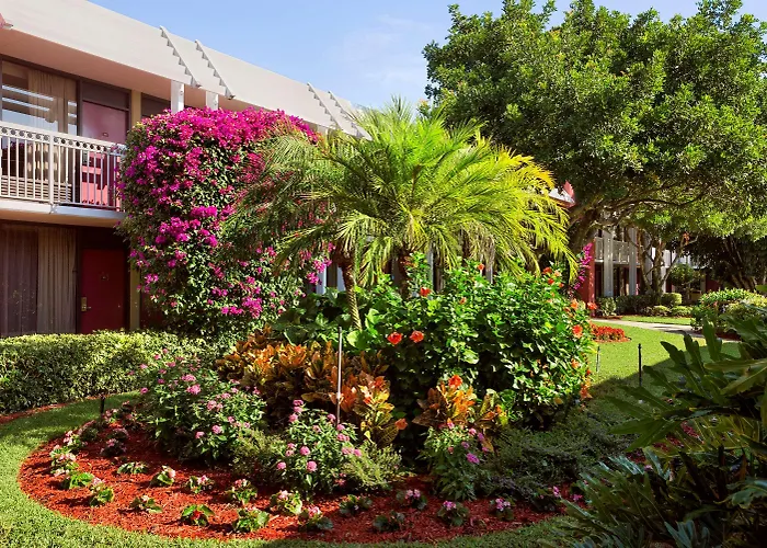 Collins Hotel Naples